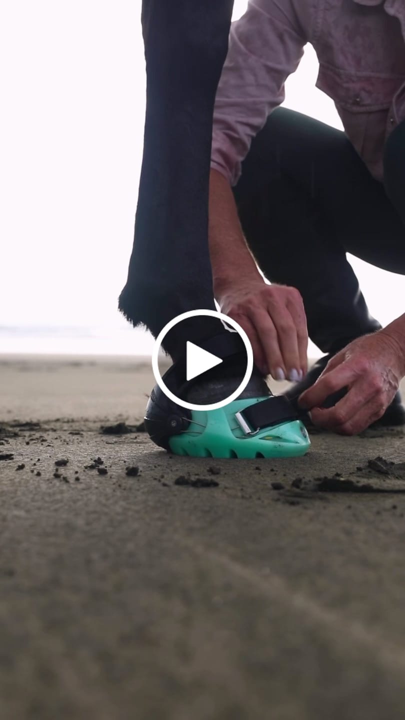 Customer video review of Renegade® Viper Glow™ Hoof Boot - Caribbean Dream