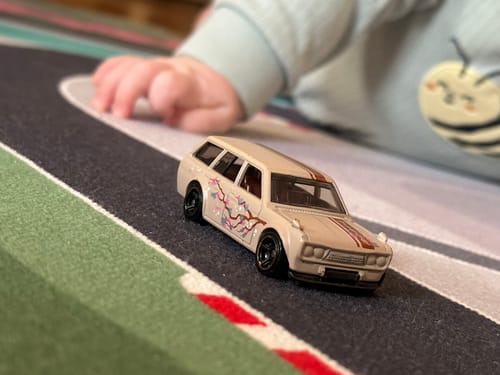 Customer photo review of THE CURVES