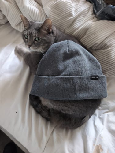 Customer photo review of FaradayLabz™ Silver EMF Blocking Beanie