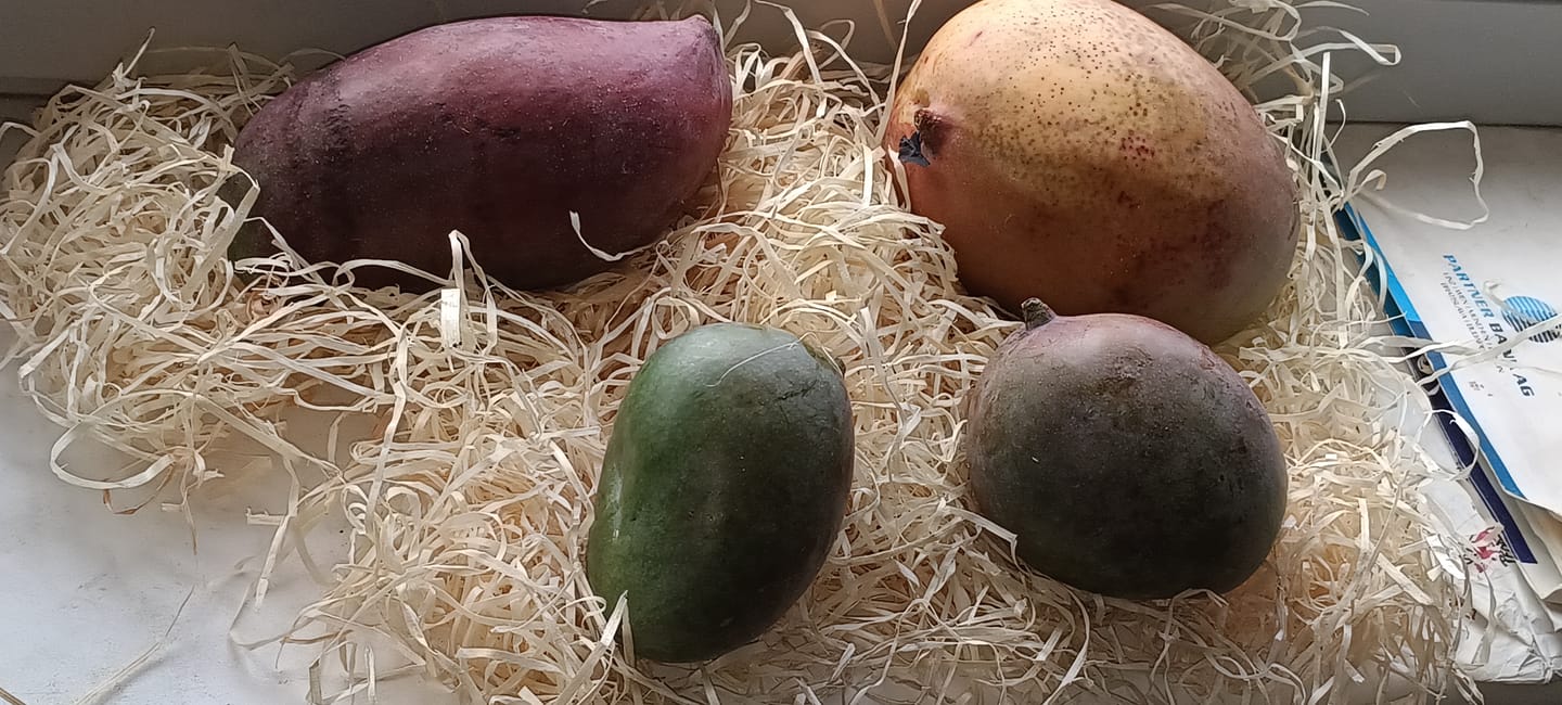 Customer photo review of Mango-Späternte Mix von Julian Sparpreis