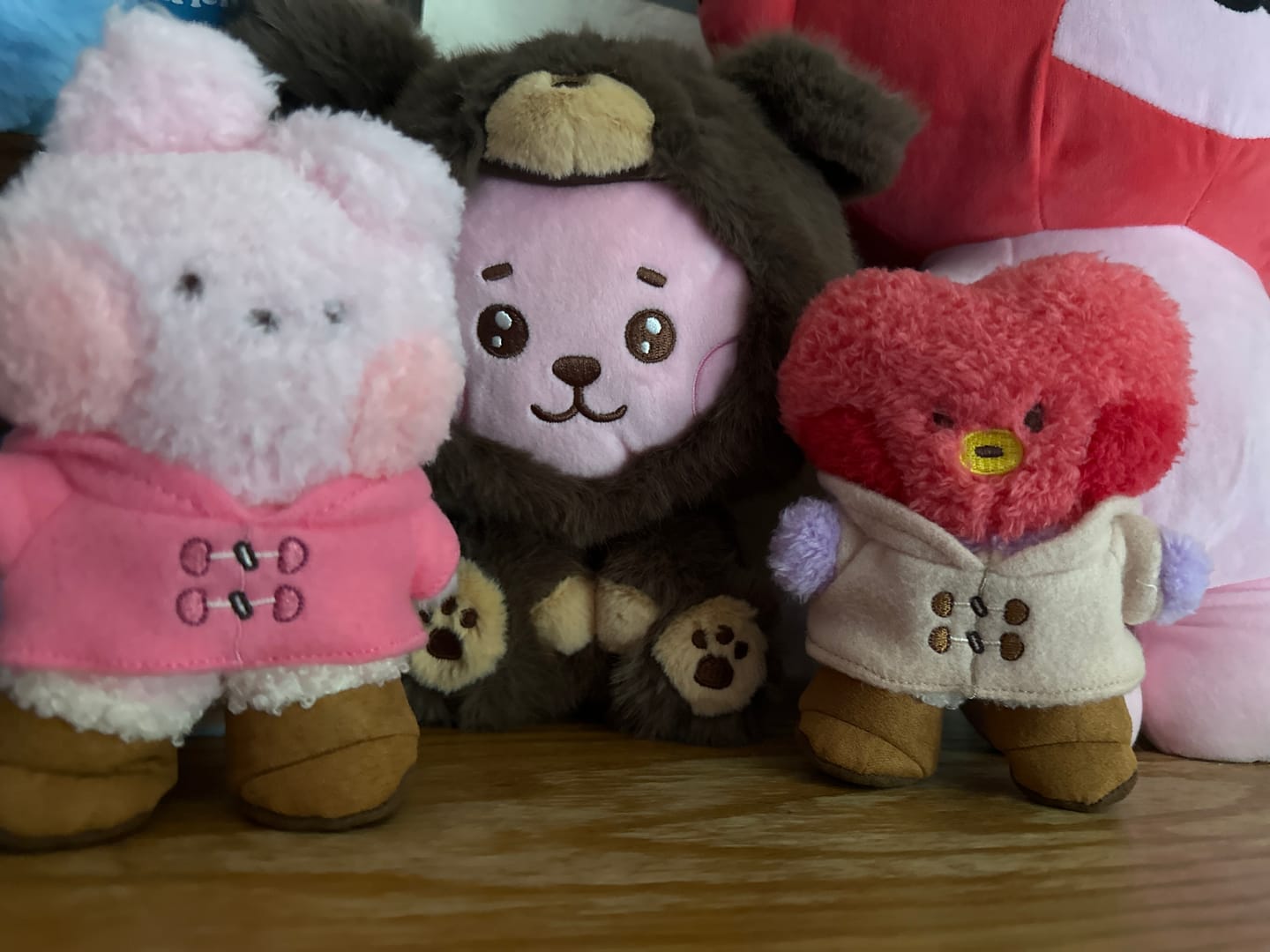 Customer photo review of BT21 - BOOTS EDITION MININI DOLL