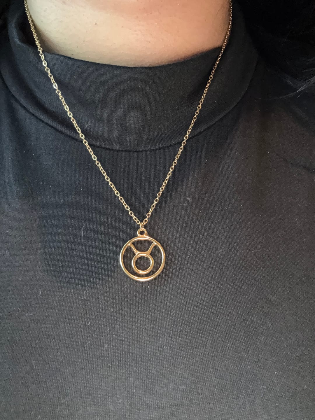 Customer photo review of Zodiac Sign Pendant Necklace