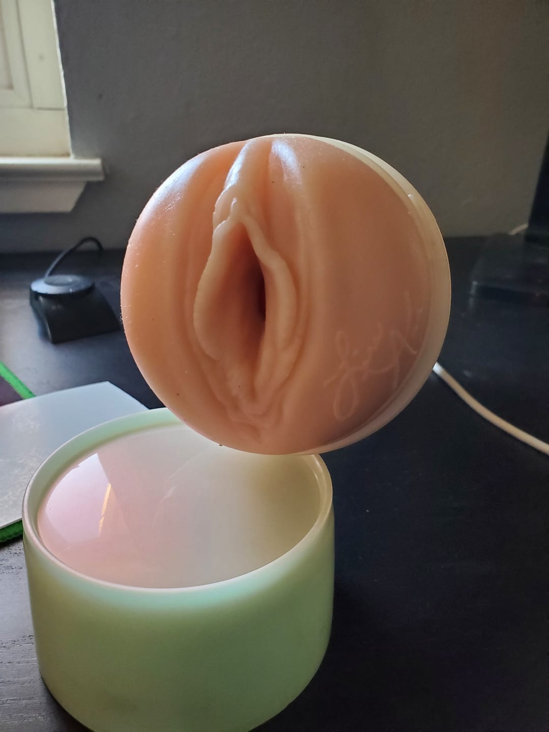 Customer photo review of Lisa Ann Fleshlight