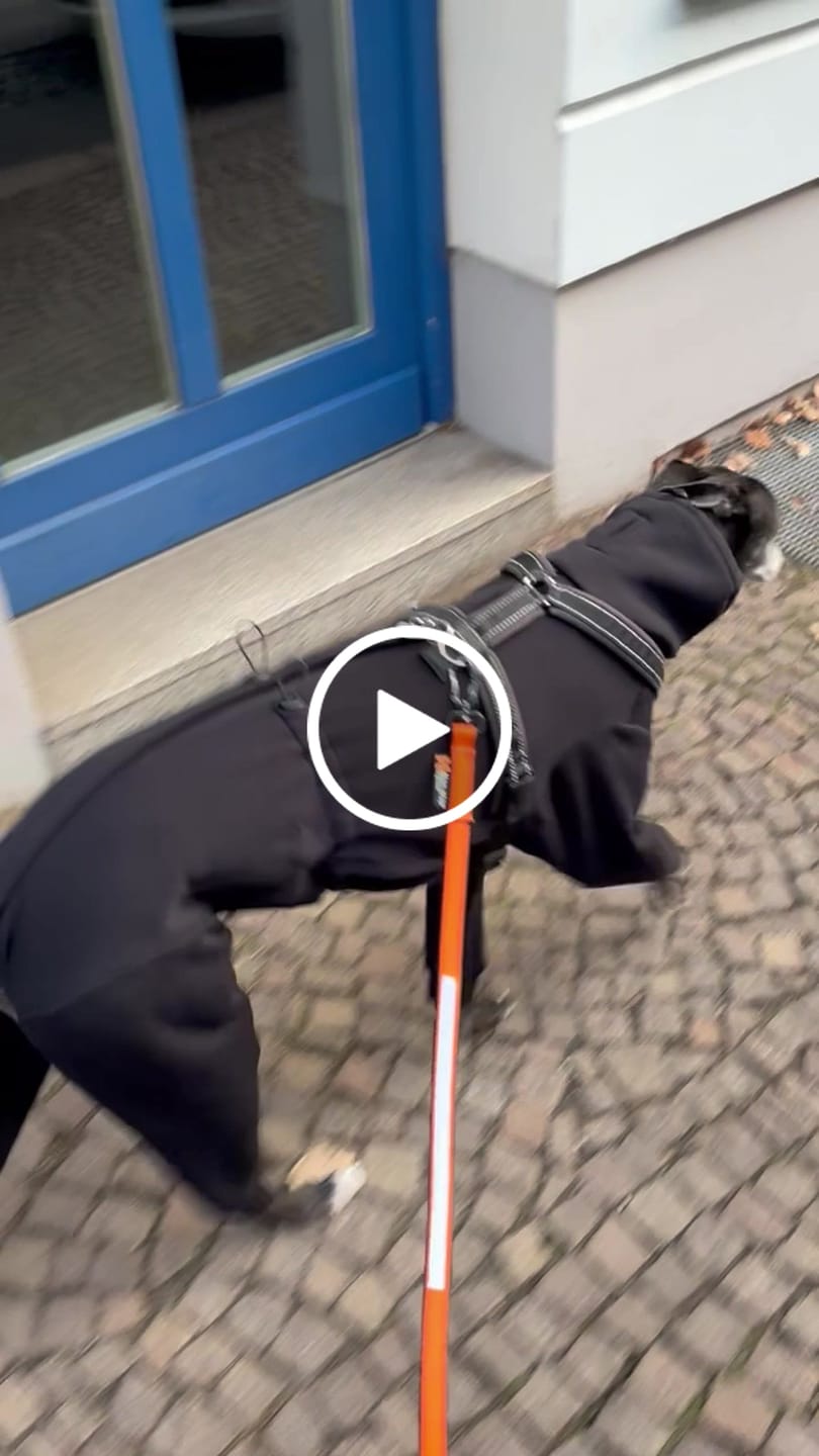 Customer video review of Nuuk "Volcano Black"