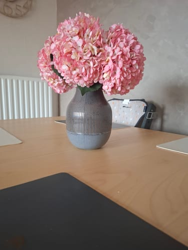 Customer photo review of Grande Hortensia (5 tiges) - Rose