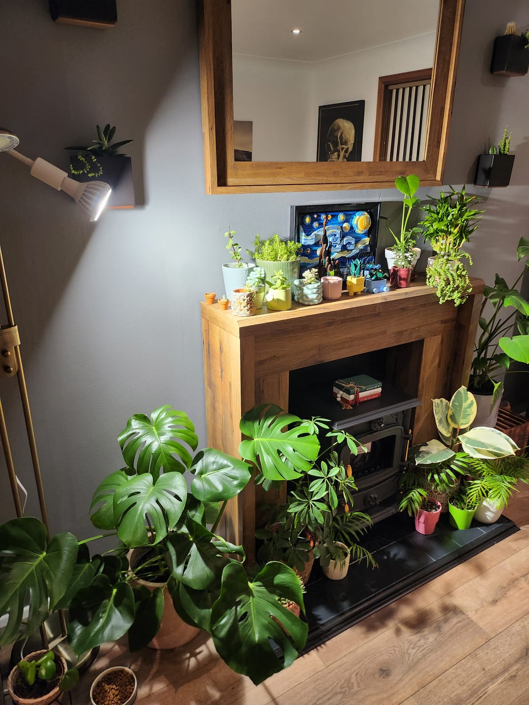 Customer photo review of Stelo Gooseneck Clip-On Bulb Holder