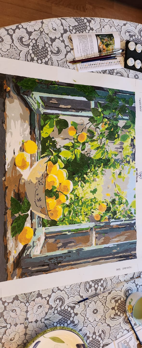 Customer photo review of Lemon Bowl at the Window | Paint by Number