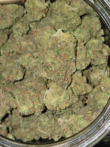 Customer photo review of Blue Dream Indoor - Bulk - Sativa