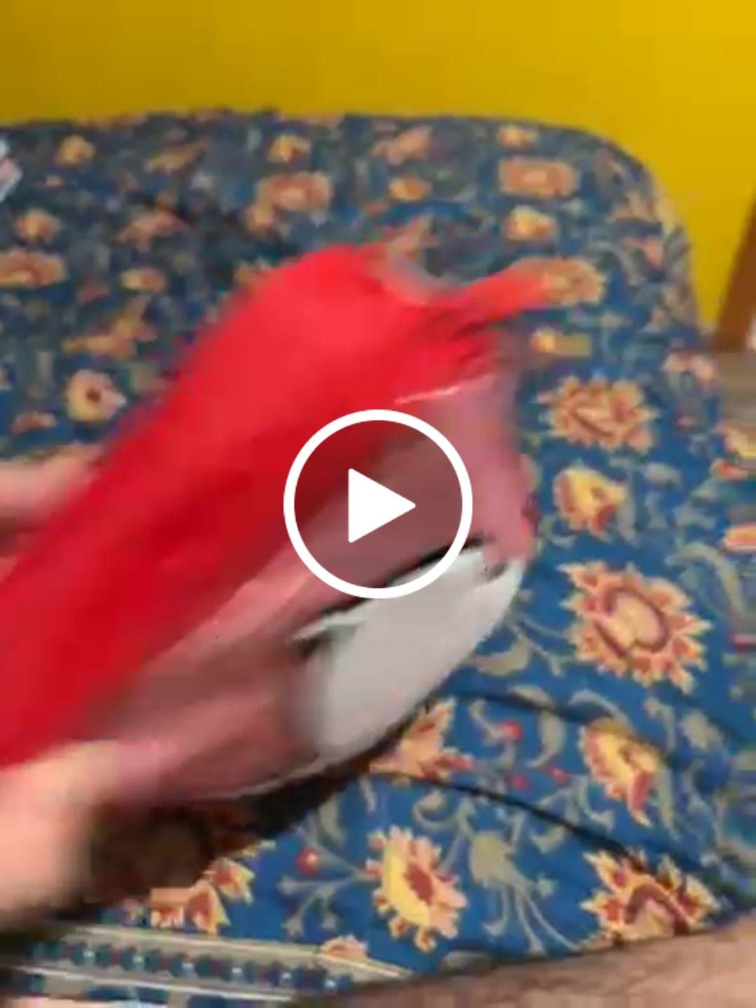 Customer video review of Mooving - Estuche para Lápices Maxi Trend Snoopy
