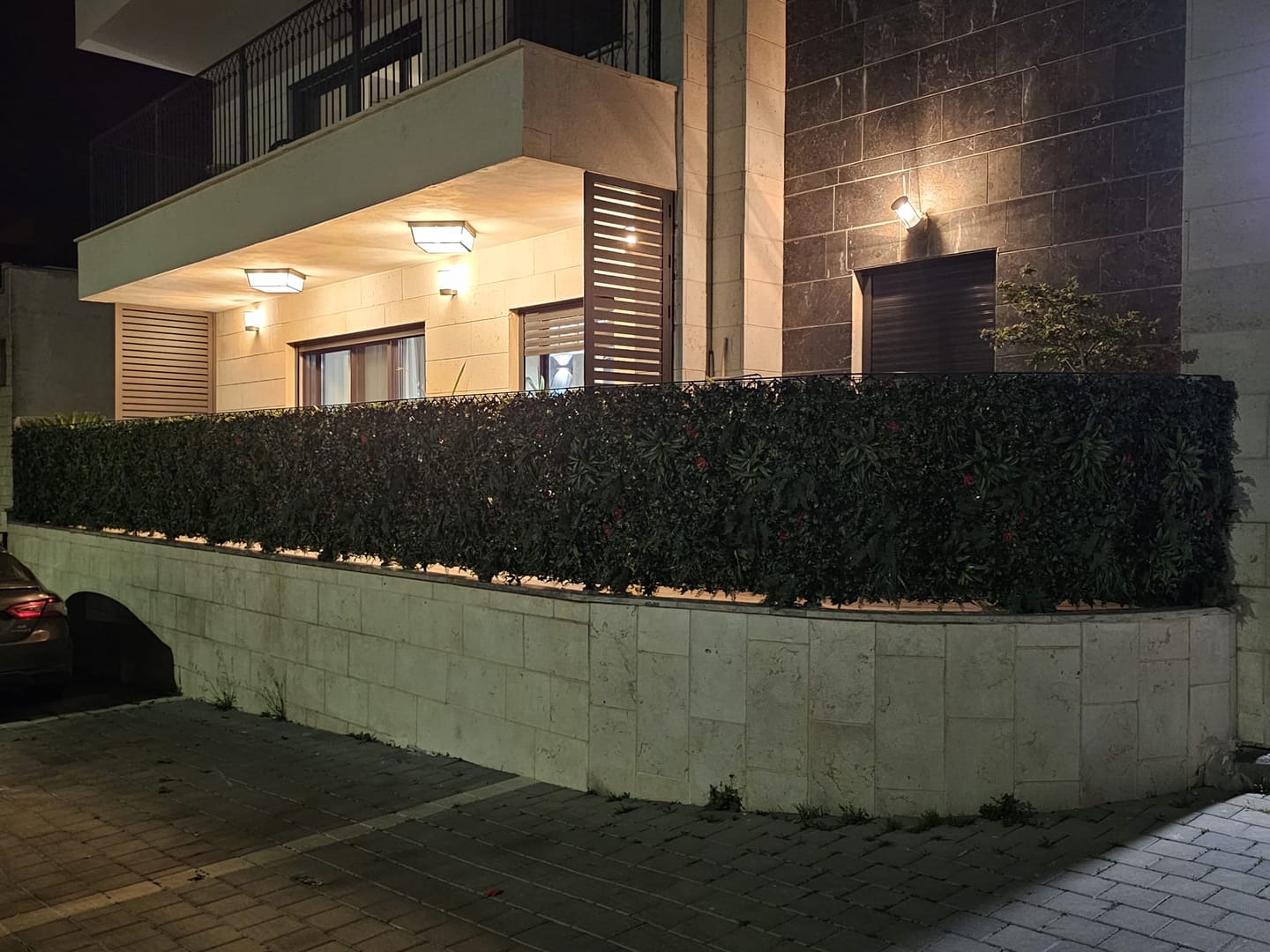 Customer photo review of קוקטיל צמחים ירוק פרחי דובדבן 100x100 ס"מ