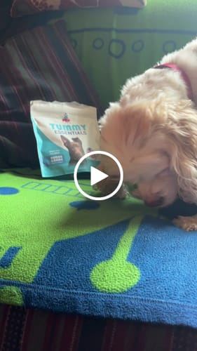 Customer video review of Tummy Essentials