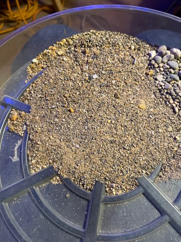 Customer photo review of Dutchman's 'SECRET NUGGET' Gold Paydirt - Gold Prospecting Concentrate