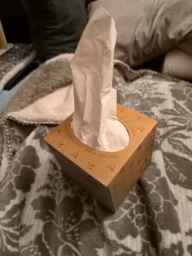 Customer photo review of Sustainable Bamboo Paper Discovery Box