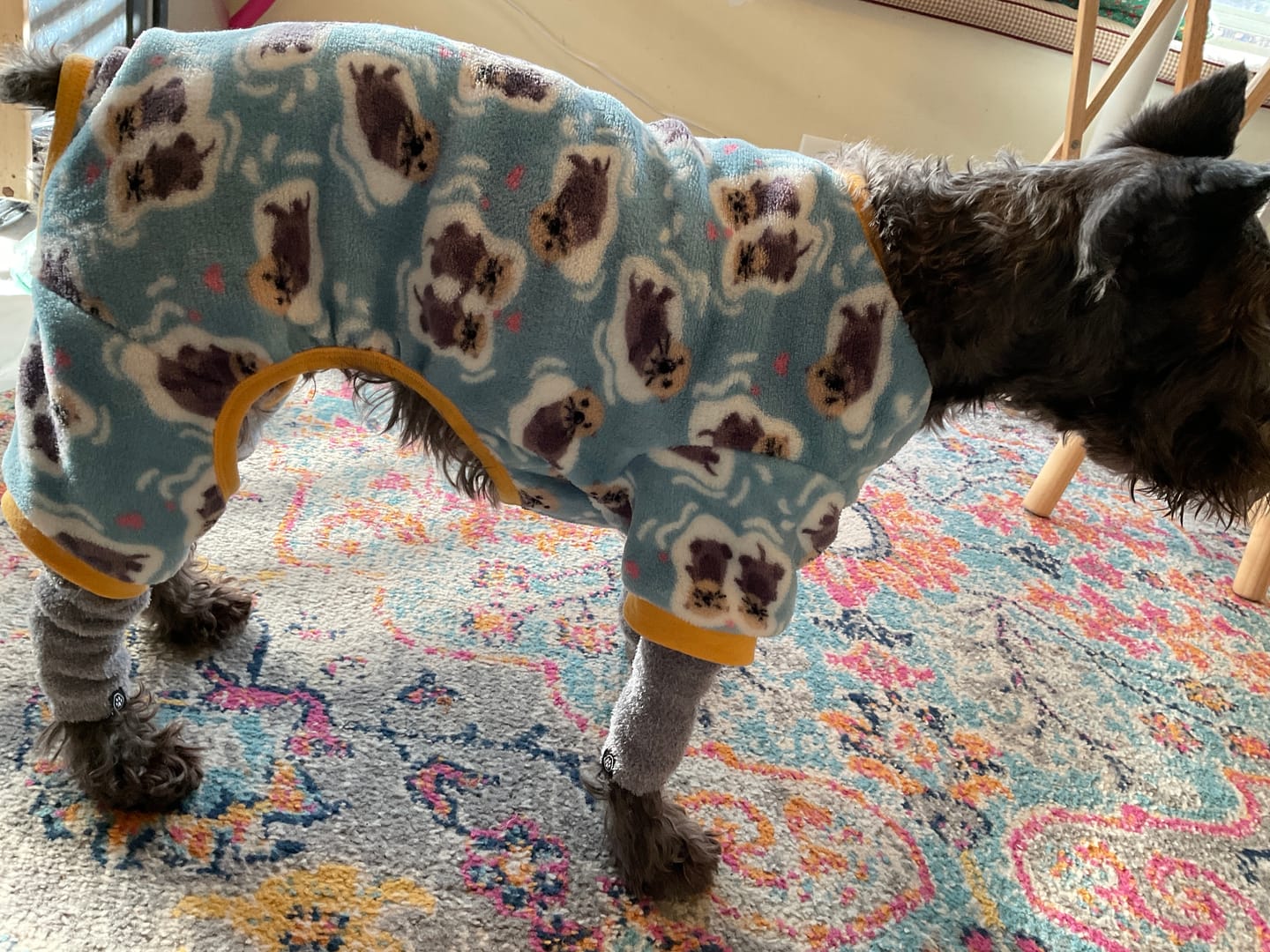 Customer photo review of Stretchy Fleece Dog Leg Warmer Sleeves