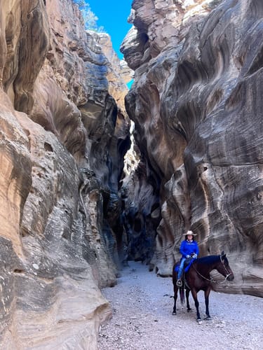 Customer photo review of Osteo-MAX » up to 29% Off