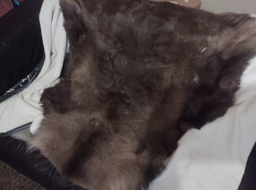 Customer photo review of XL Reindeer Fur Hide - Seconds