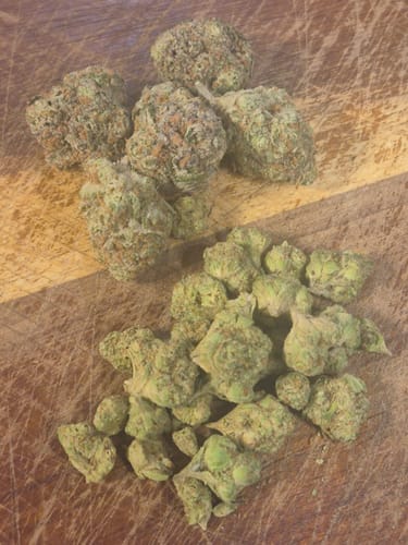 Customer photo review of London Jealousy Littles - Bulk Littles - Hybrid