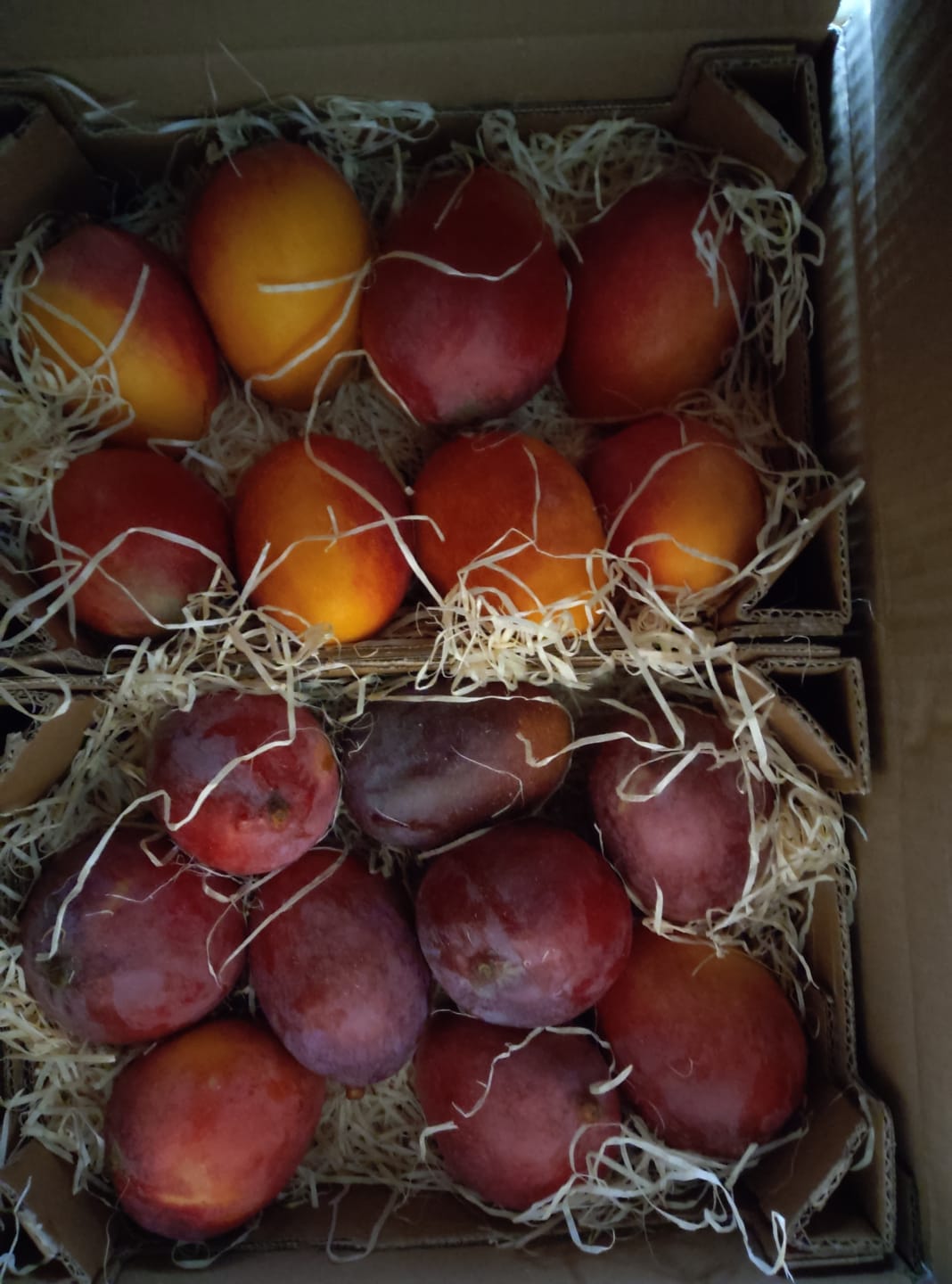 Customer photo review of Mango Sensacion Bio von Paco Sonderpreis %