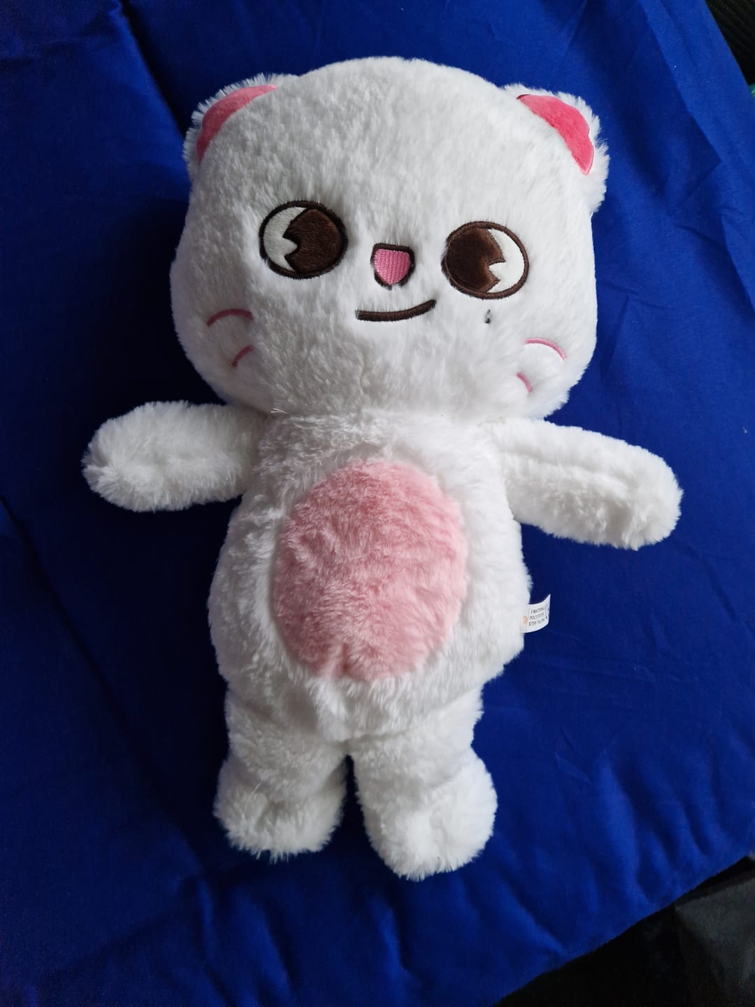 Customer photo review of SKZ Teddybear Plush
