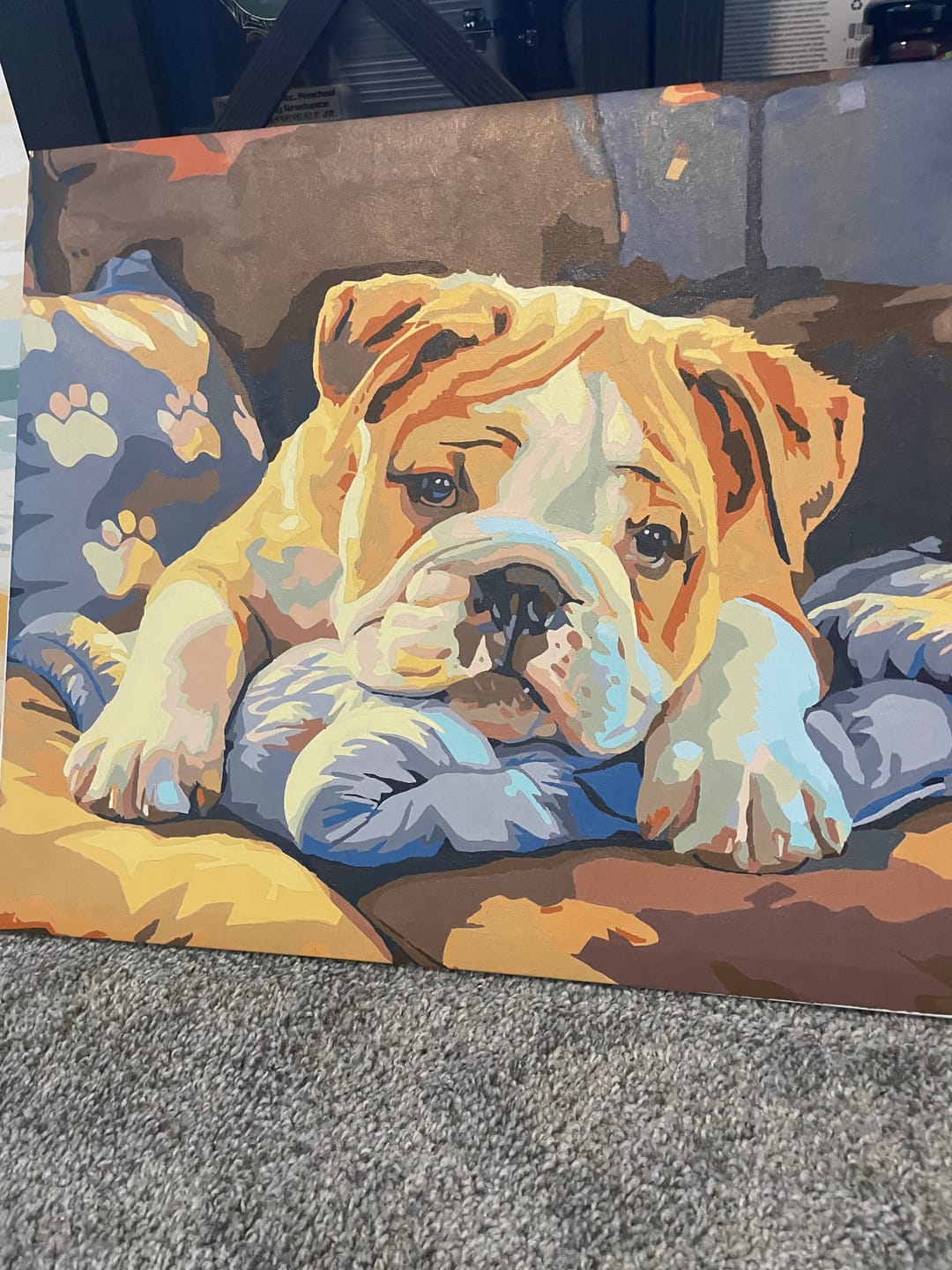 Customer photo review of Sleepy Bulldog