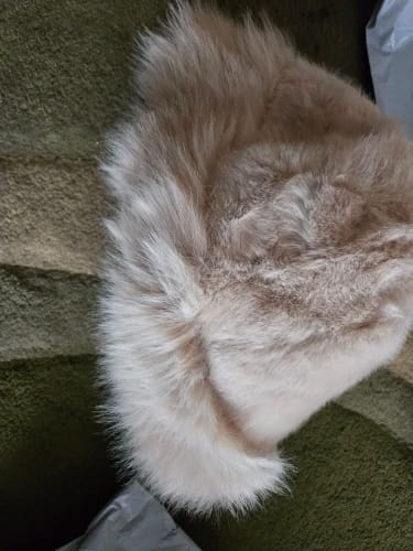Customer photo review of Tracy Faux Fur Hat