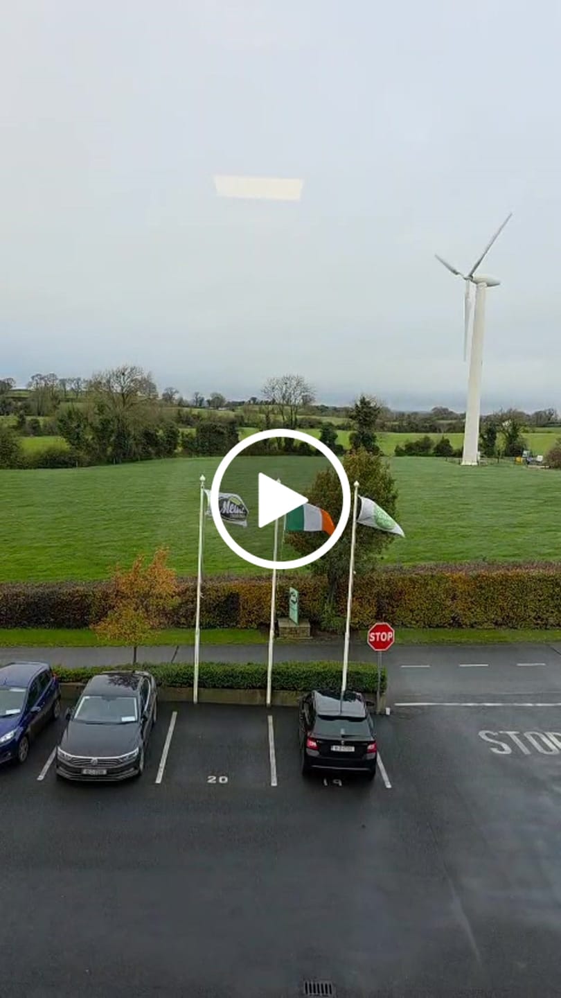 Customer video review of Ireland National Flag