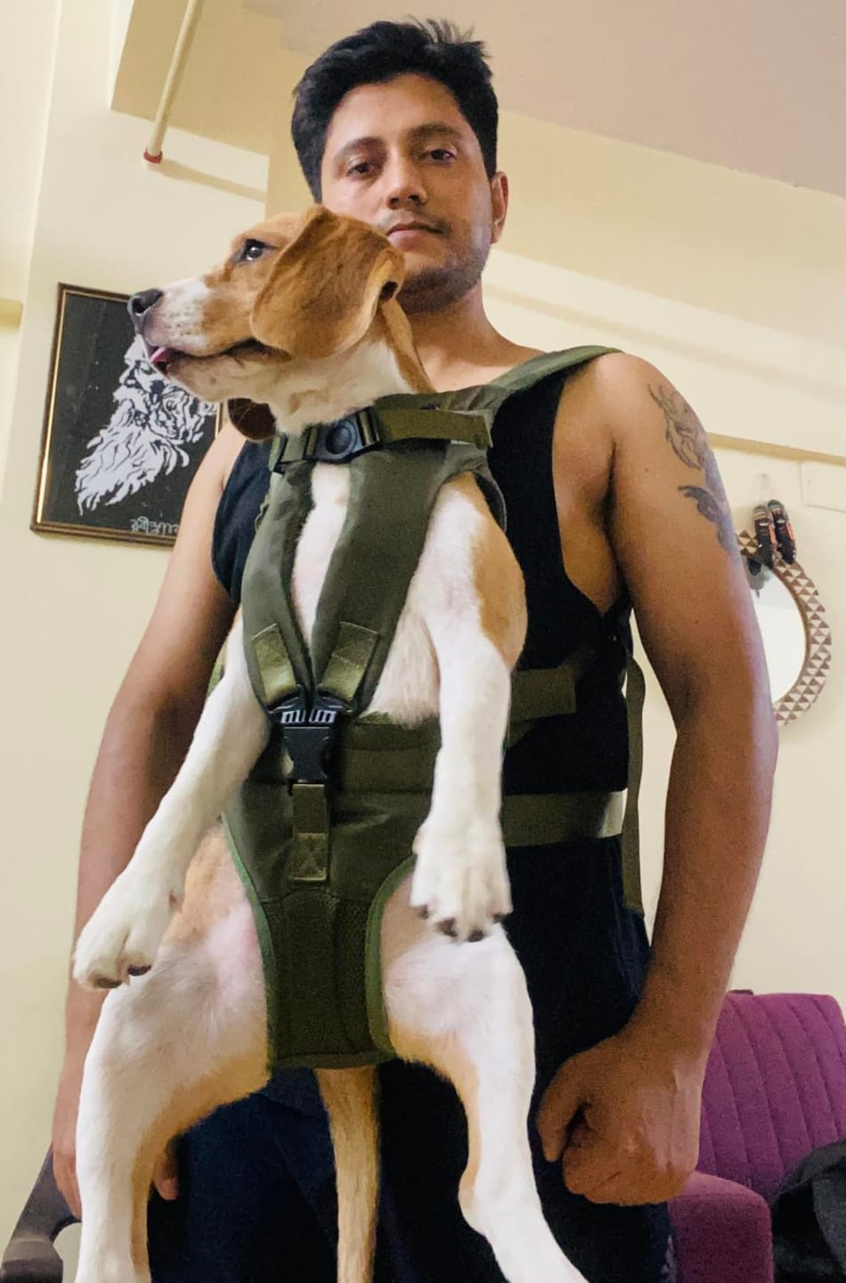 Customer photo review of DOGLEMI Hands-Free Carrier Backpack