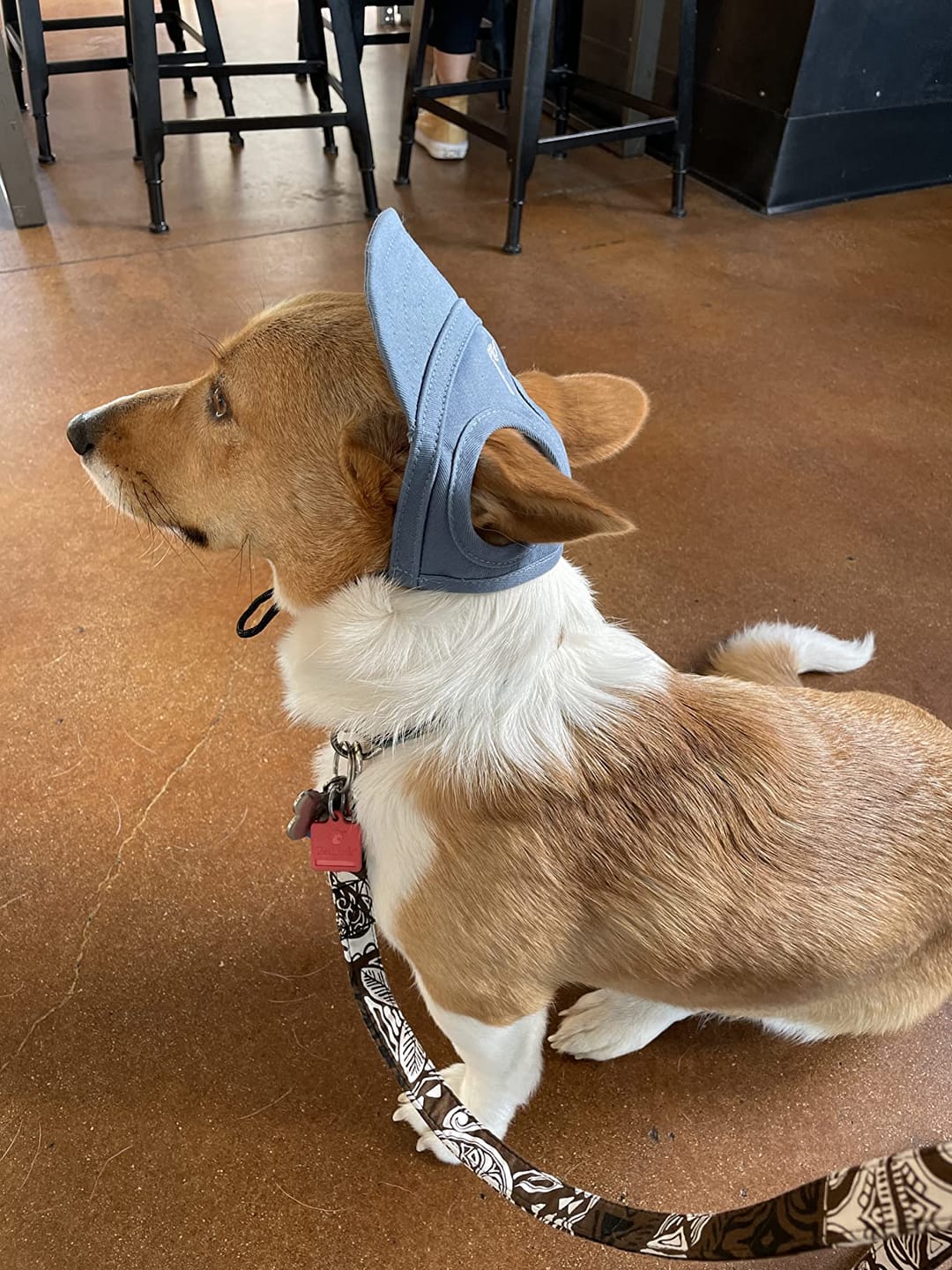 Customer photo review of Baseball Visor Hat
