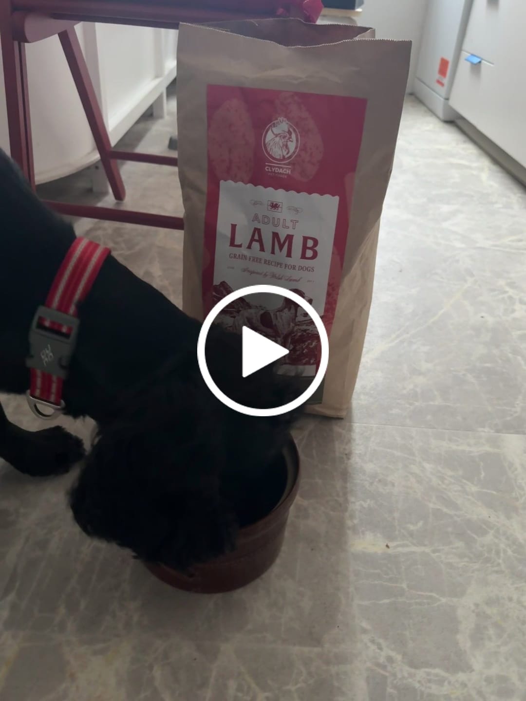 Customer video review of Welsh Lamb Dry Food