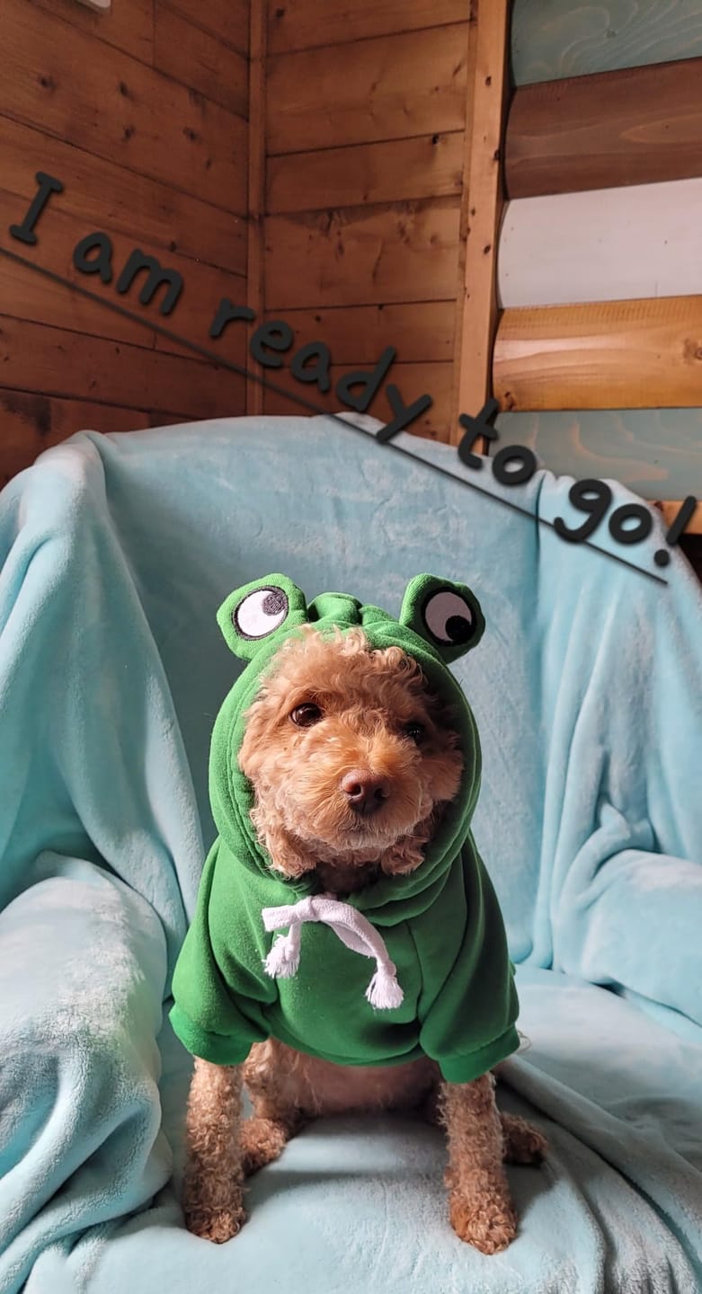 Customer photo review of Frog Hoodie Fleece Sweater