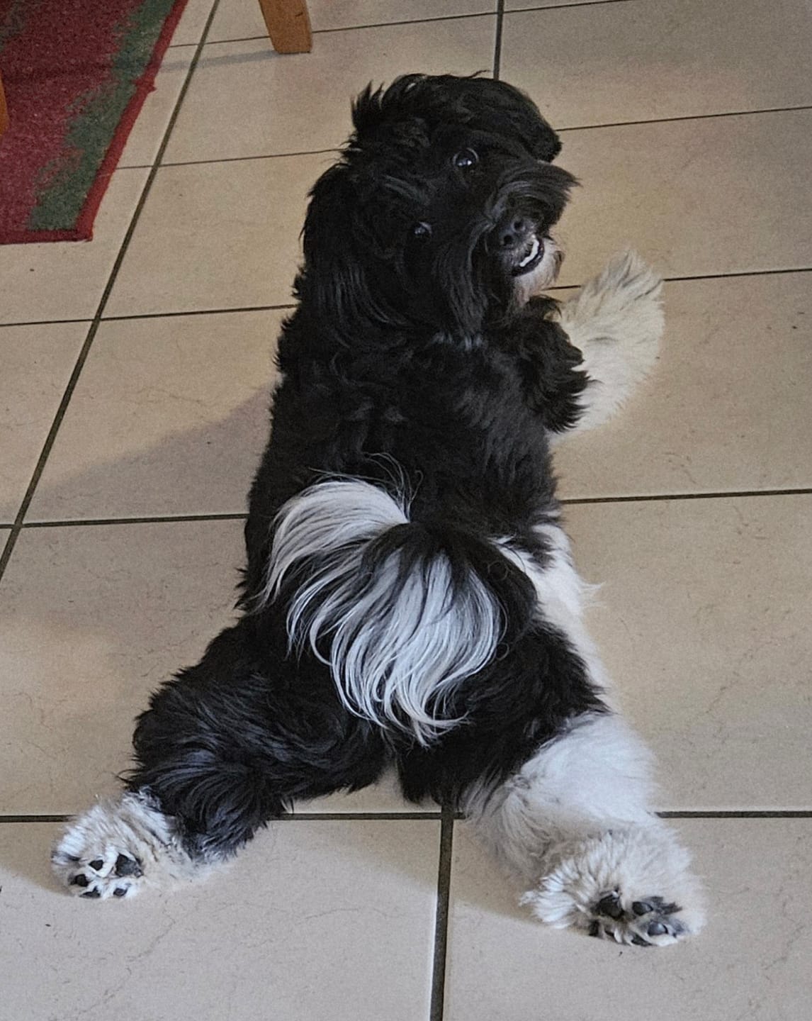 Customer photo review of Bugsy's Air-Dried Chicken