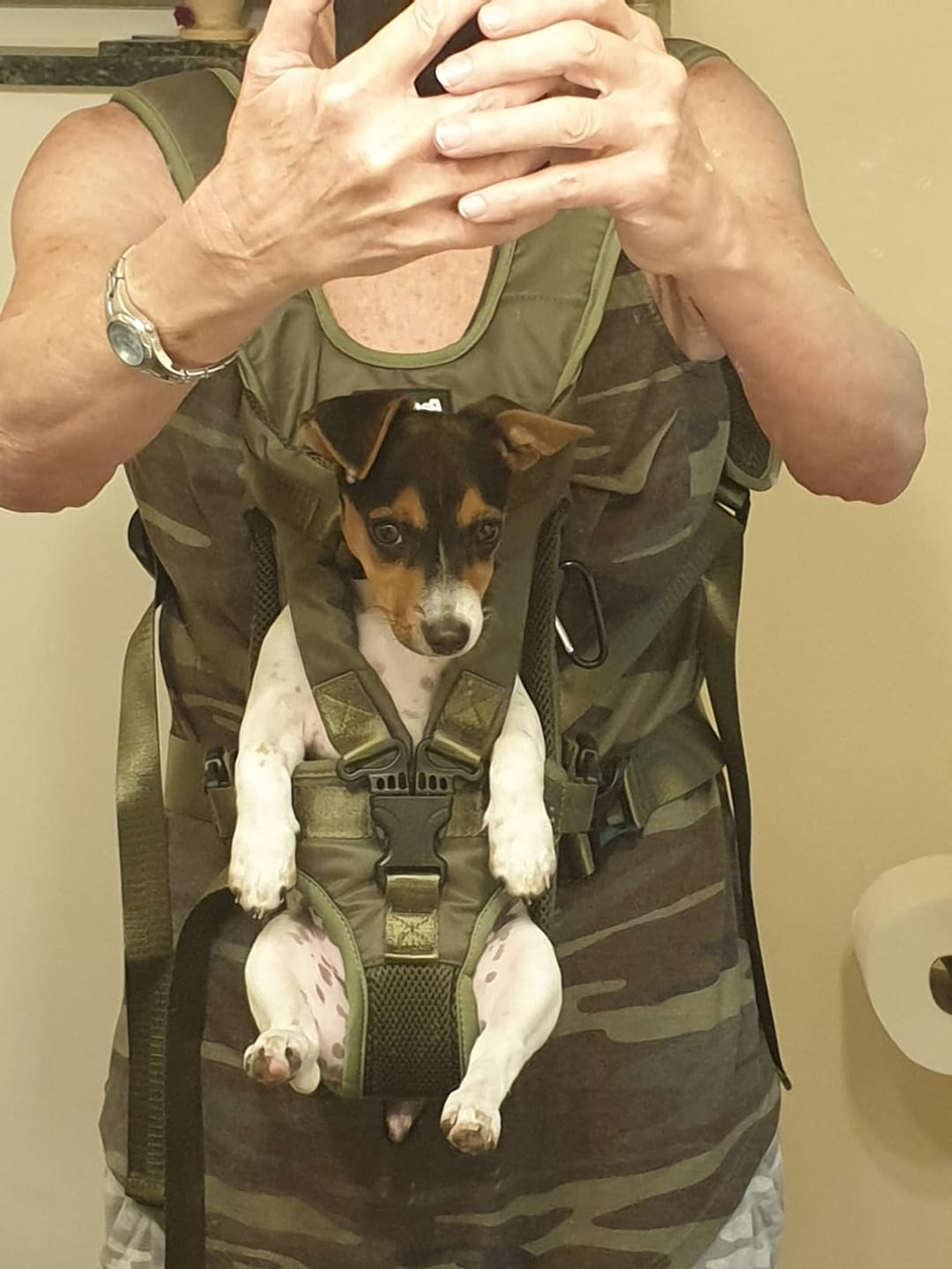 Customer photo review of DOGLEMI Hands-Free Carrier Backpack