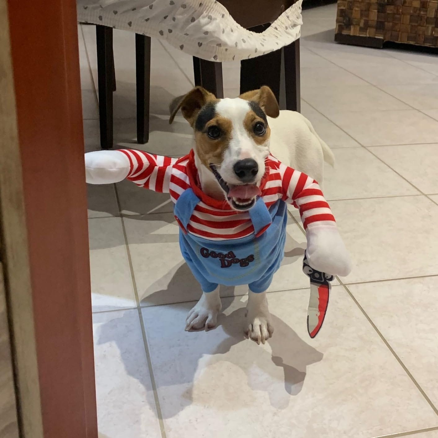 Customer photo review of Overalls with Knife Holder costume