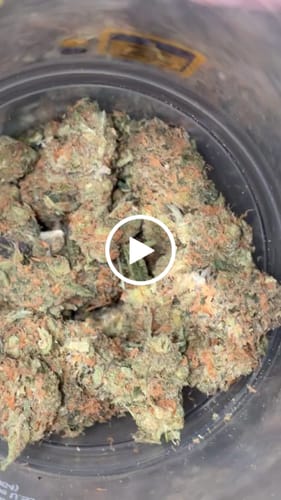 Customer video review of Greenhouse Smalls