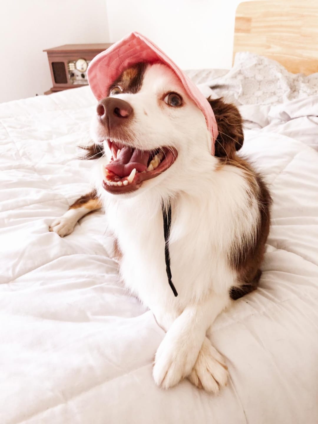 Customer photo review of Baseball Visor Hat