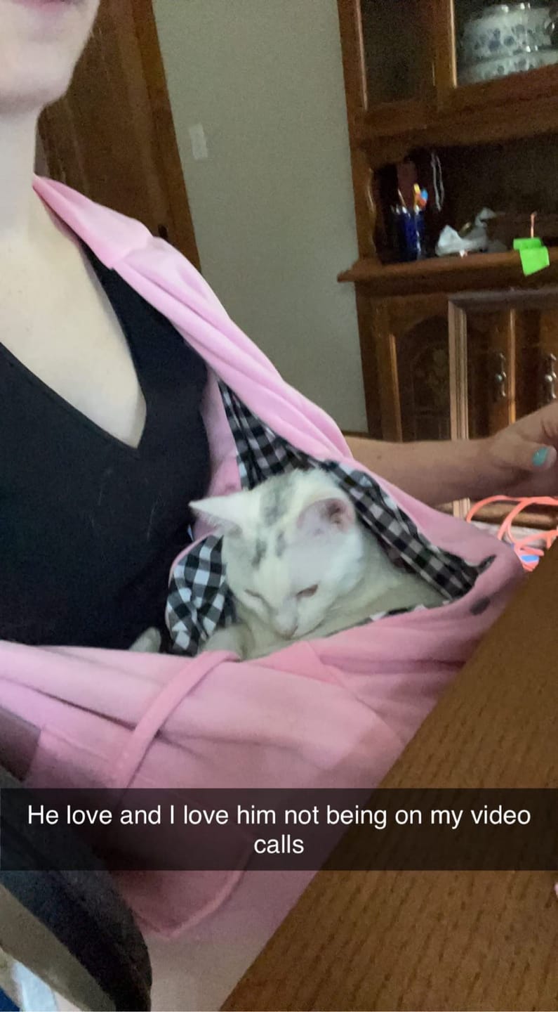 Customer photo review of Foldable Carrier Bag