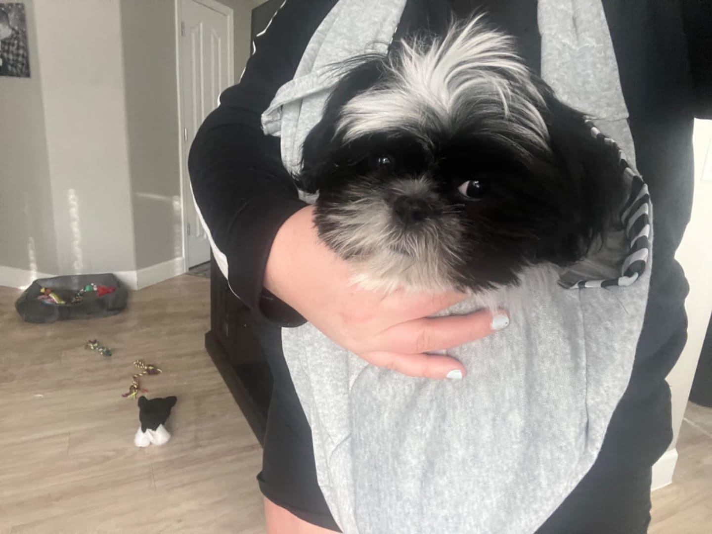 Customer photo review of Foldable Carrier Bag