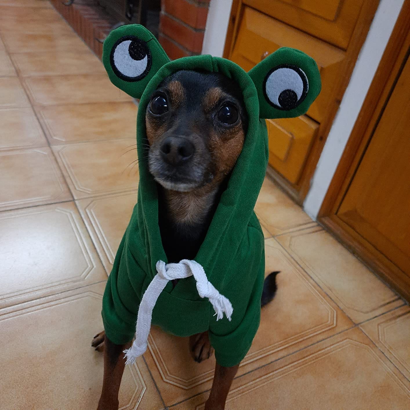 Customer photo review of Frog Hoodie Fleece Sweater