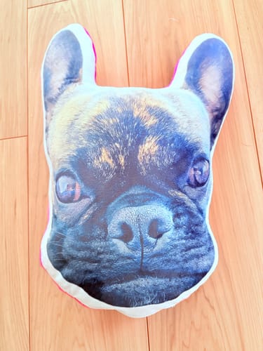 Customer photo review of 本物そっくり♪ペットクッション