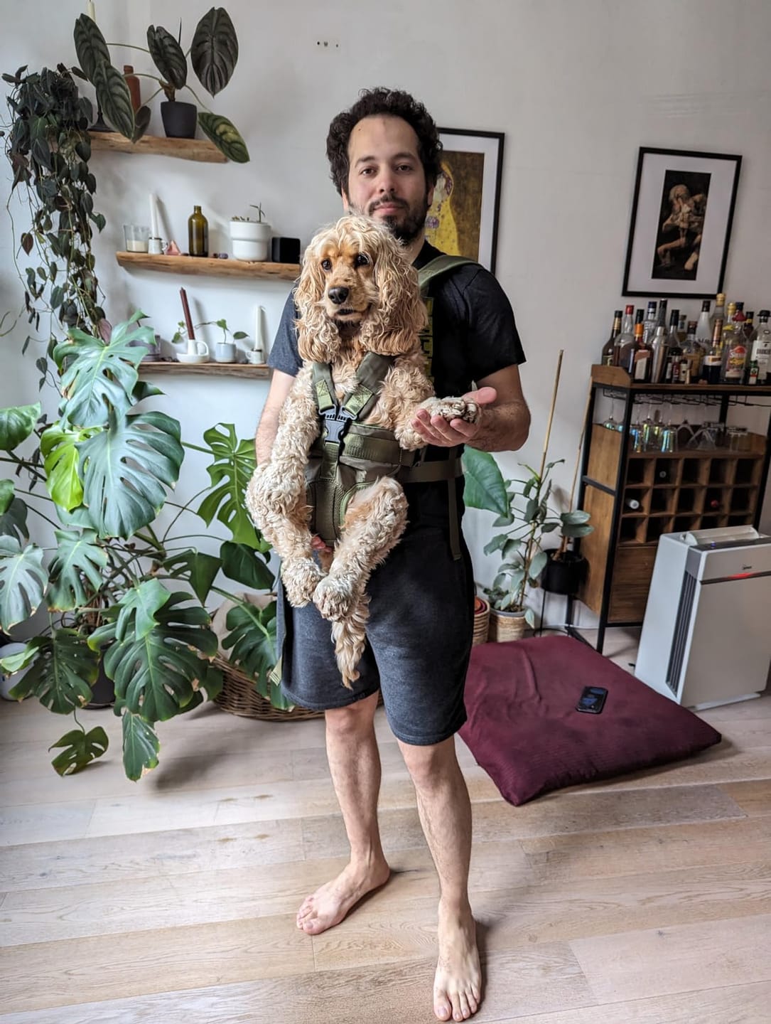 Customer photo review of DOGLEMI Hands-Free Carrier Backpack