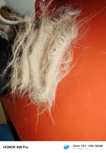 Customer photo review of Fellblitz-Bürste - Der Bestseller