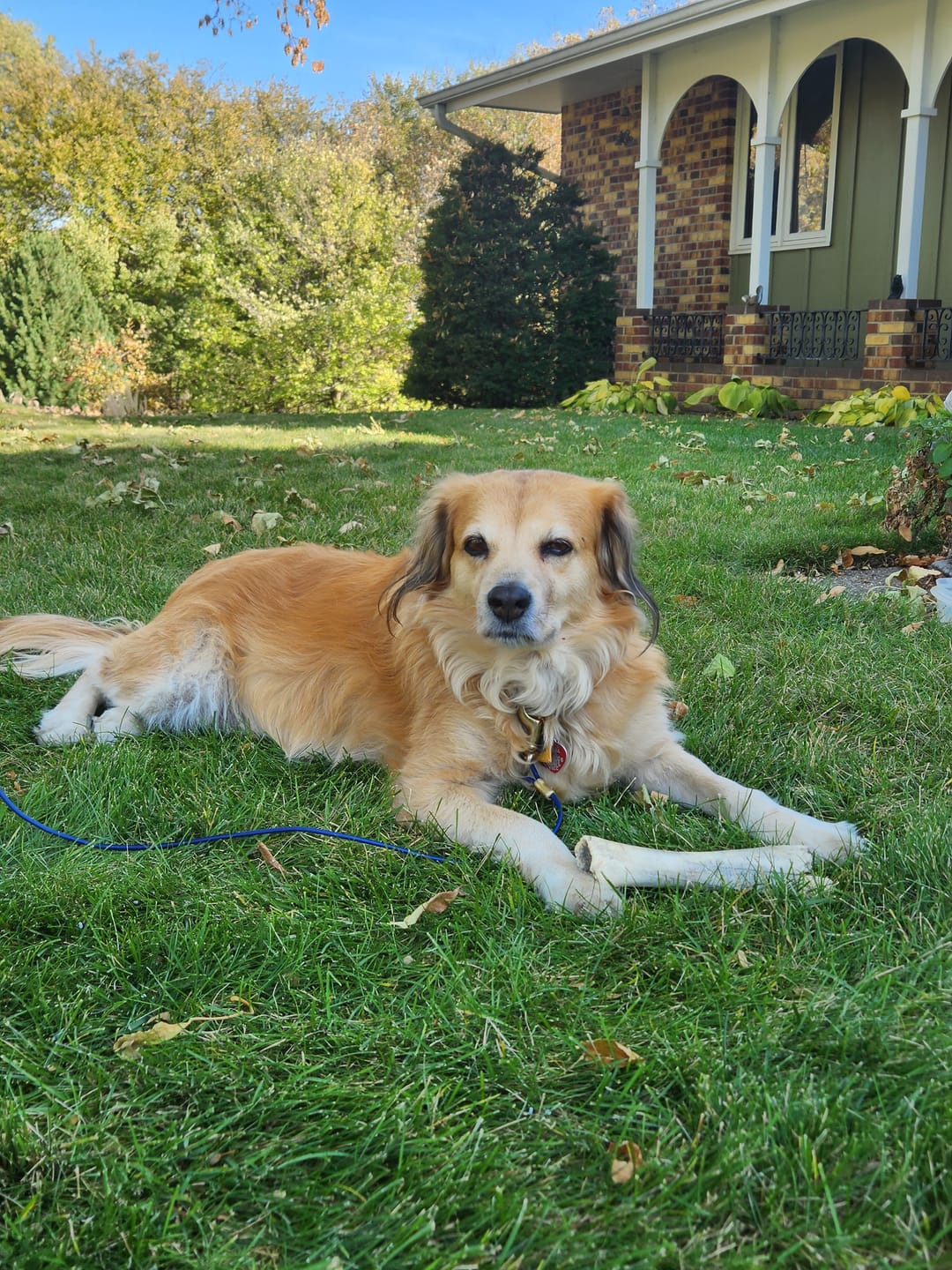 Customer photo review of Wrap-Ups® Pill Wrapper