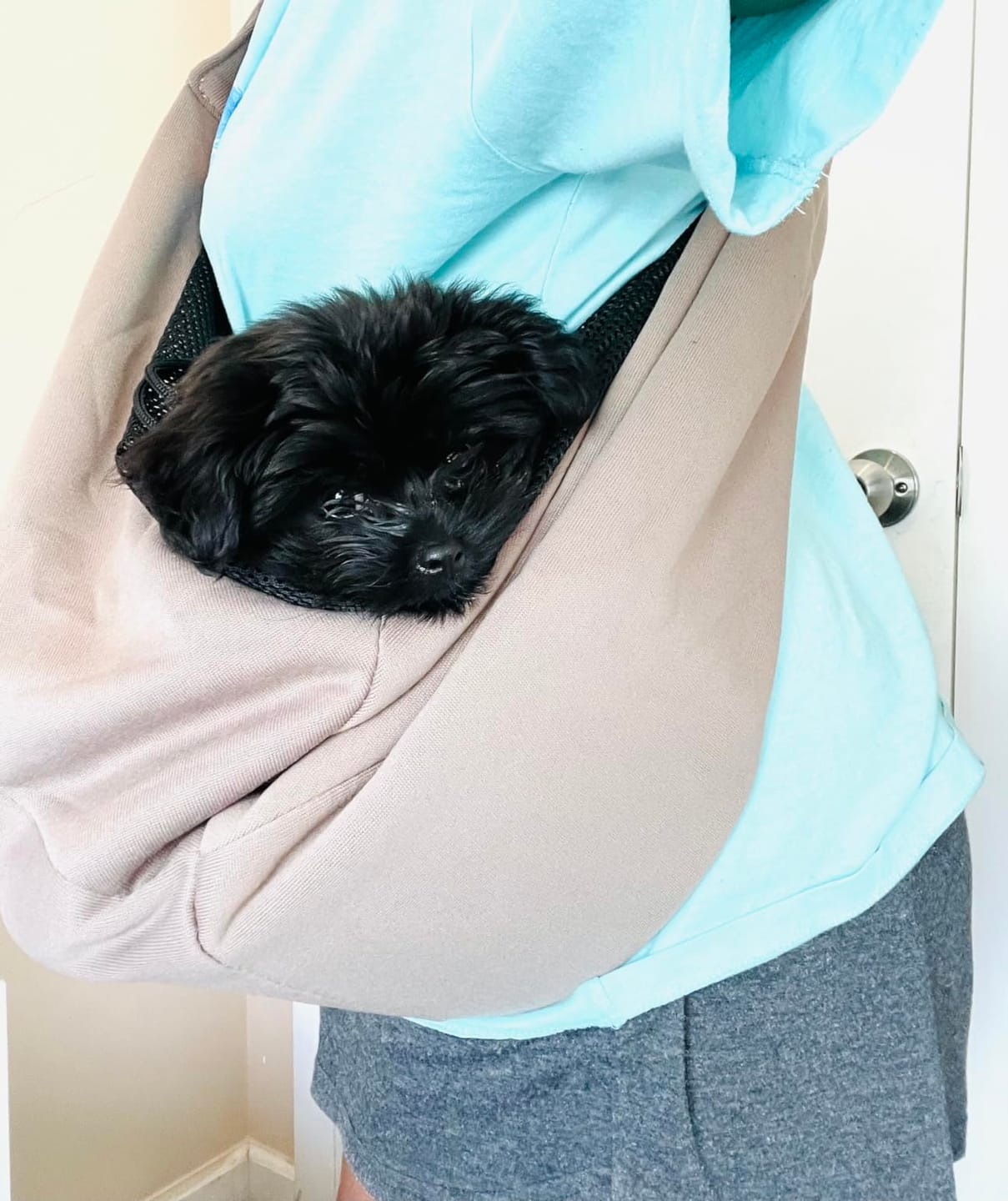 Customer photo review of Foldable Carrier Bag