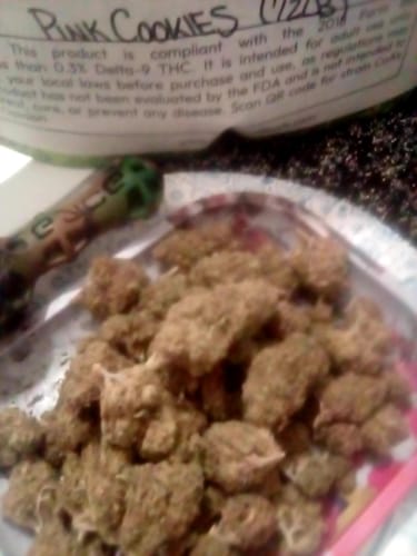 Customer photo review of Fresh Lows Lounge