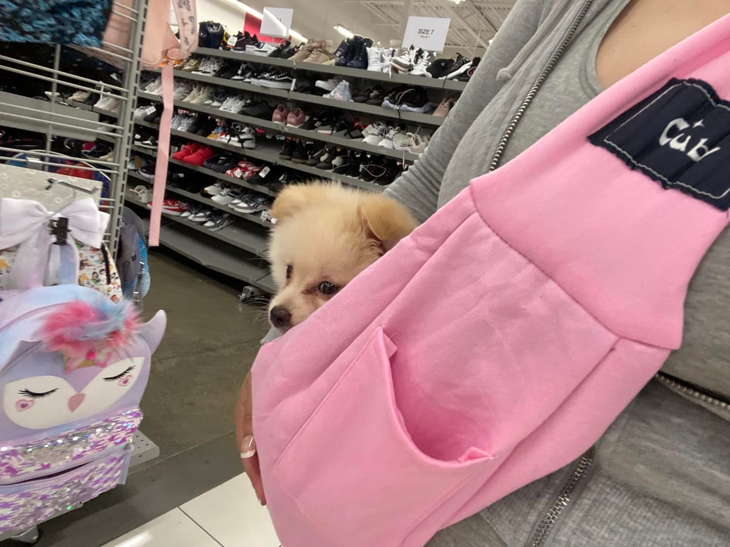 Customer photo review of Foldable Carrier Bag
