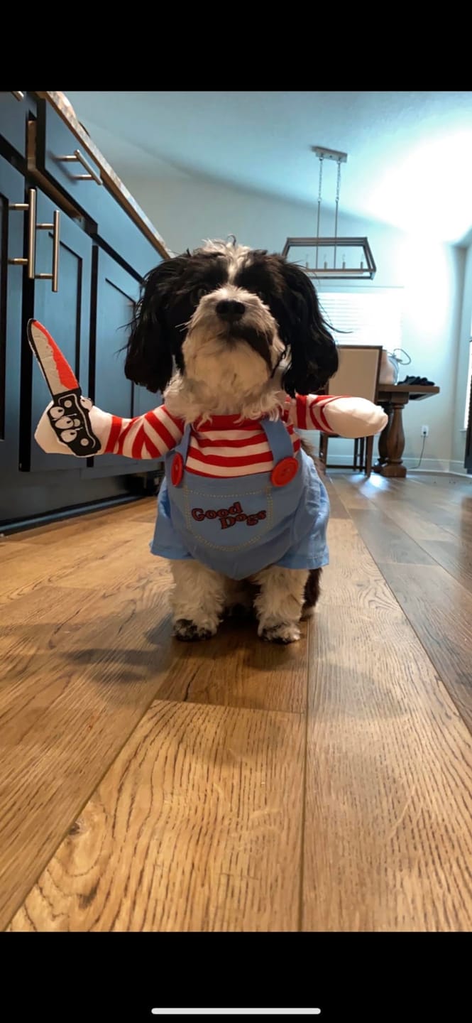 Customer photo review of Overalls with Knife Holder costume