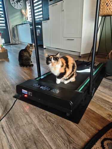 Customer photo review of Dreaver S340 Loopband