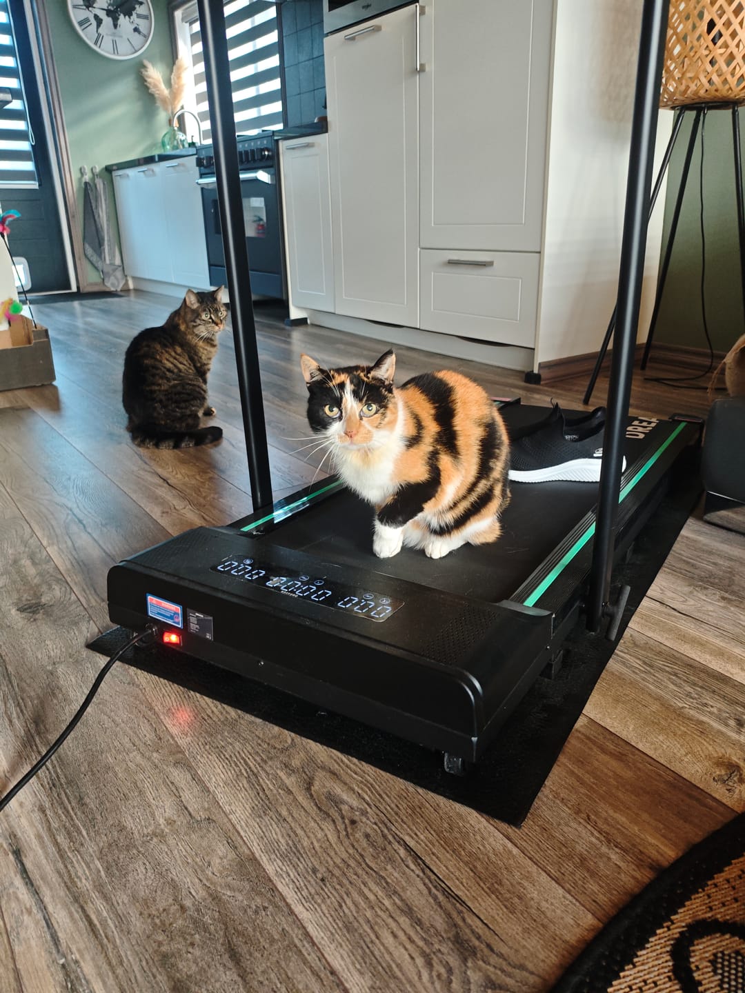 Customer photo review of Dreaver S340 Loopband