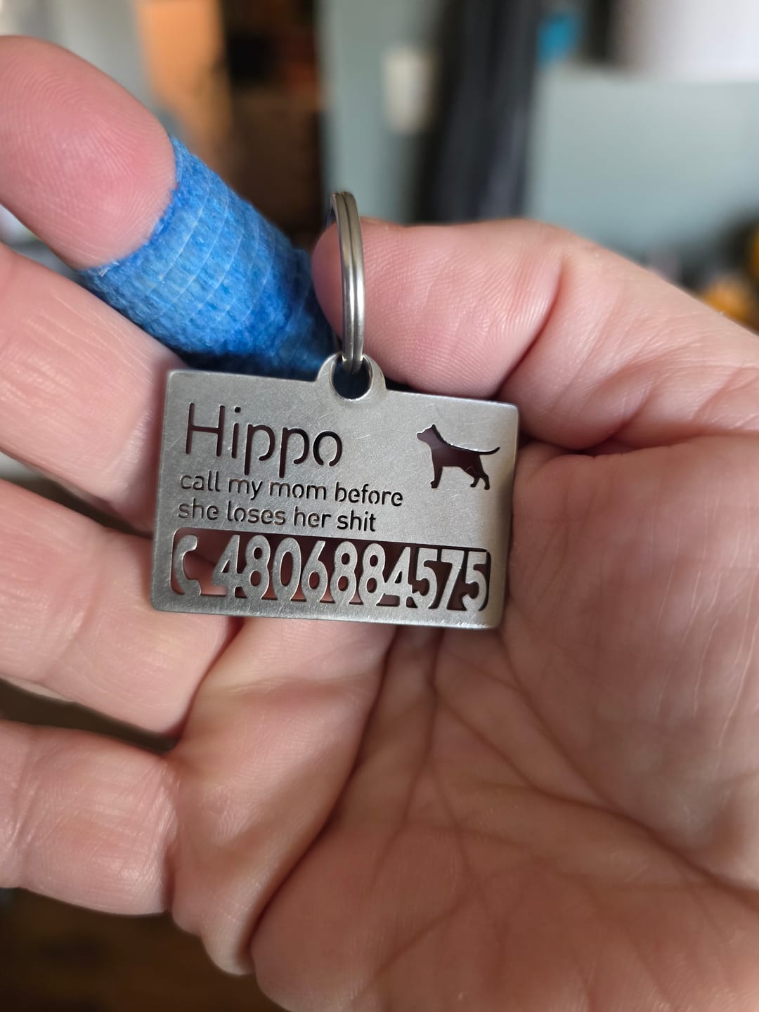 Customer photo review of Hollow-carved Dog ID Tags
