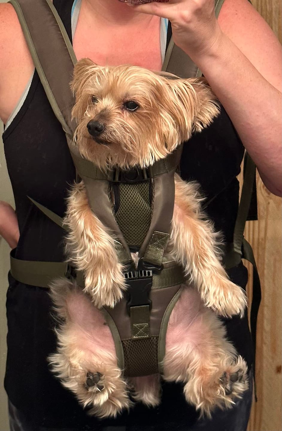 Customer photo review of DOGLEMI Hands-Free Carrier Backpack